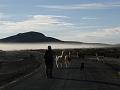 Coipasa Salt Flats (7)